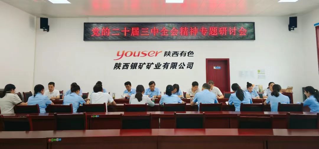 党的二十届三中全会精神专题研讨会