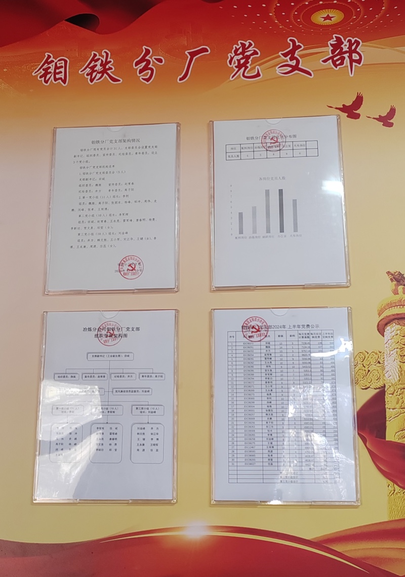 钼铁分厂党支部组织架构及党费公示牌