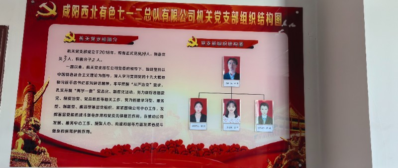 机关党支部组织结构图