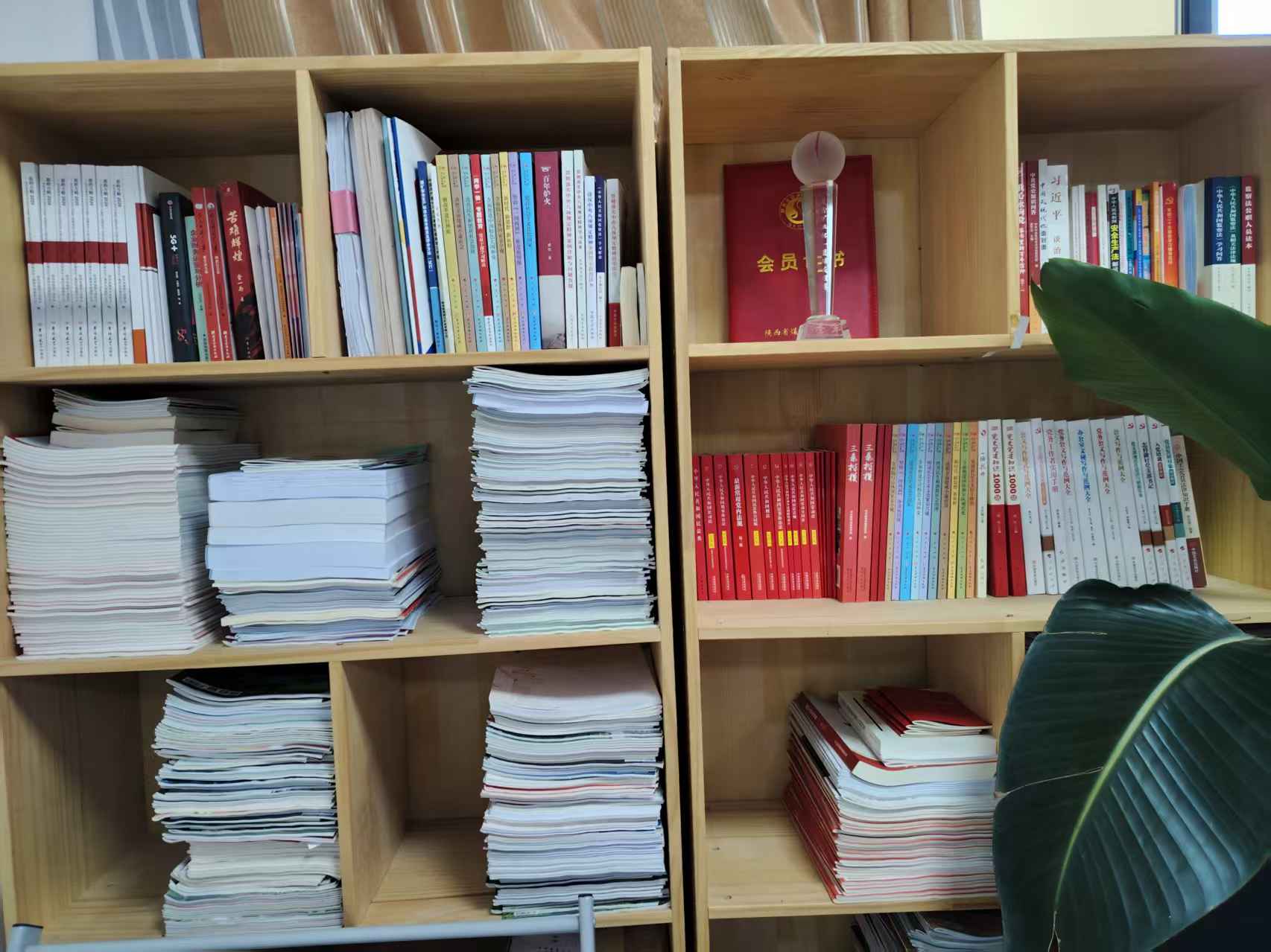 党员活动室-书架