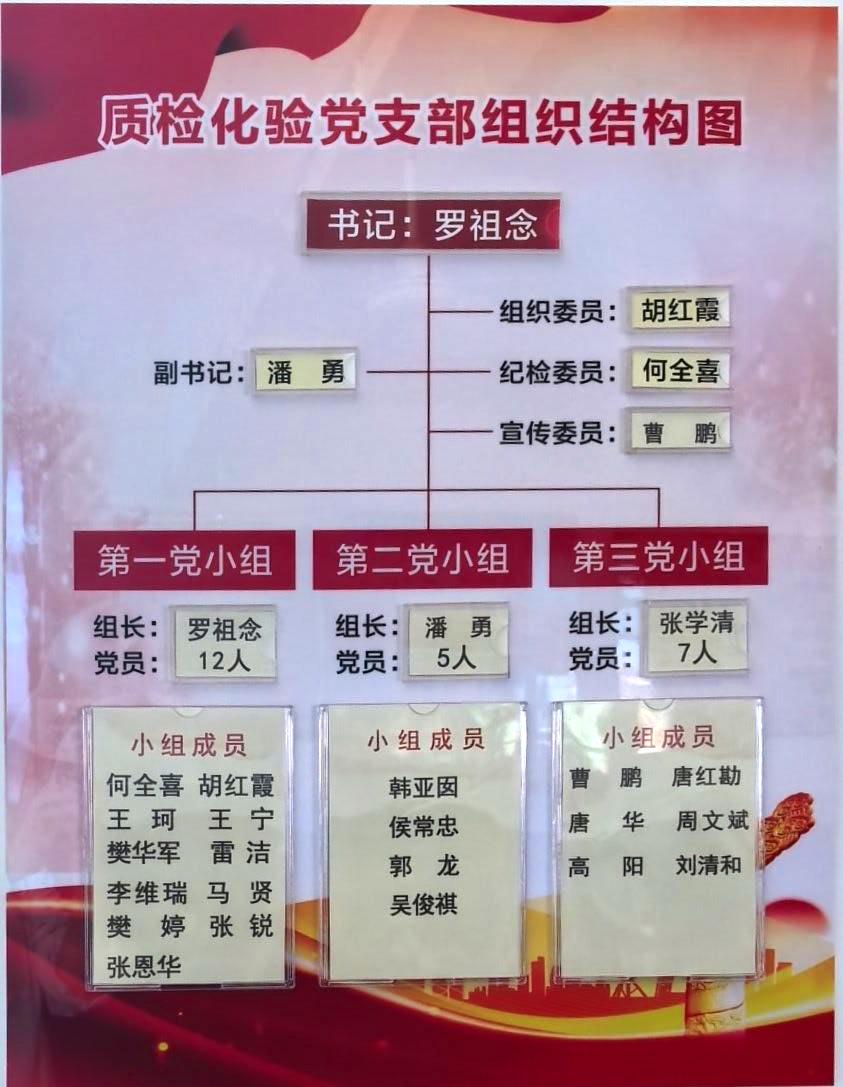 质检化验党支部组织结构图