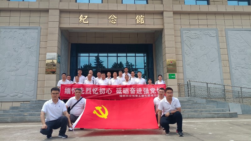 镍材料公司党支部开展主题党日活动