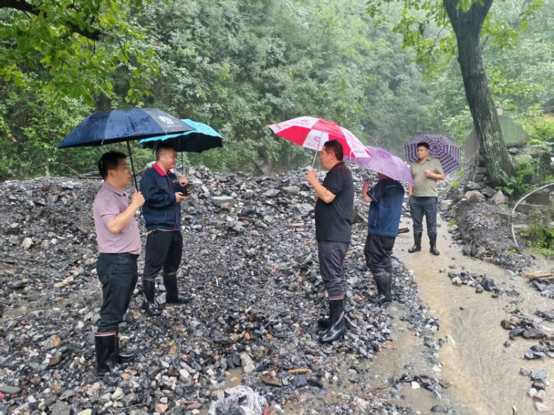 五洲矿业开展防汛专项检查 全力筑牢矿山安全防线
