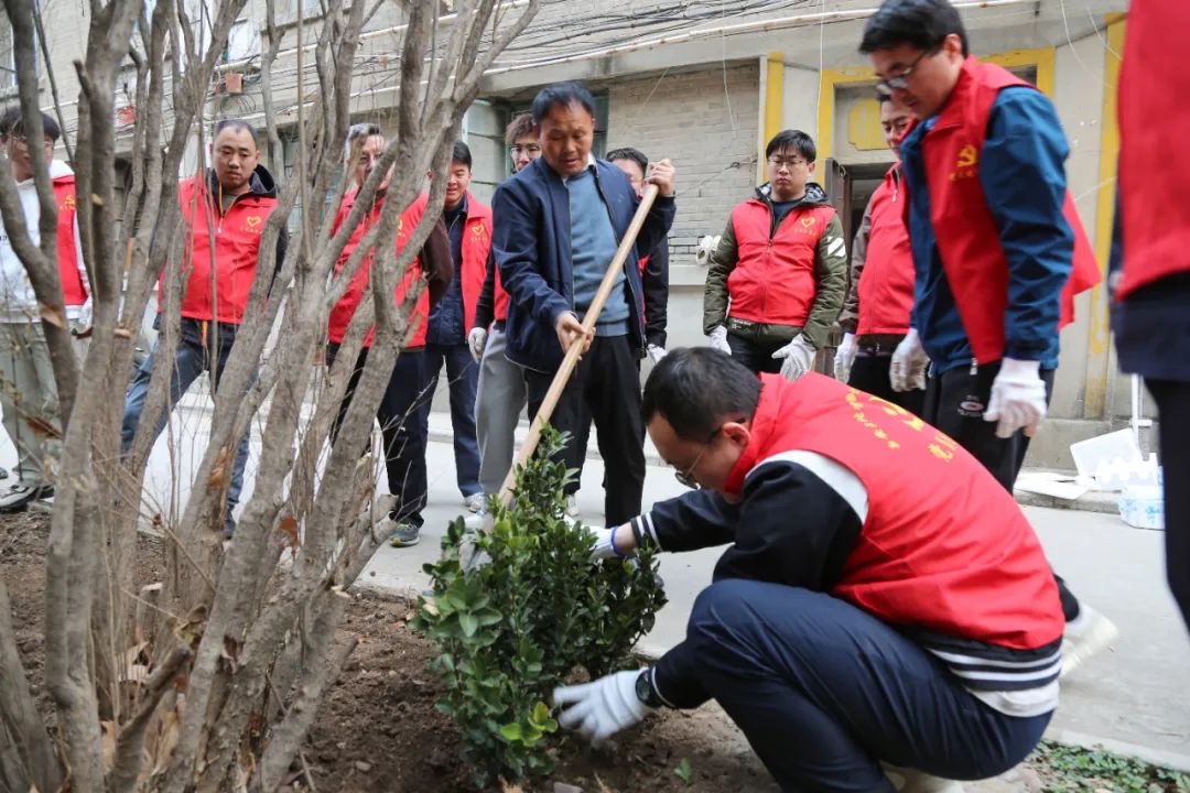 弘扬雷锋精神  践行青春担当----机关支部组织党员开展植树护绿行动