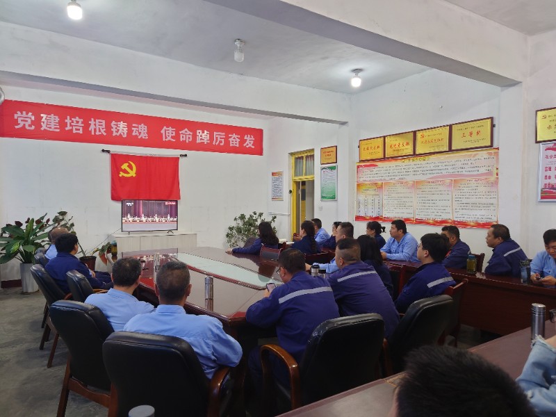“铭记历史强信念，砥砺奋进新征程”主题党日活动 ——集中观看纪念中国人民抗日战争暨世界反法西斯战争胜利80周年阅兵仪式