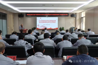 党支部书记抓基层党建暨党风廉政建设工作述职评议