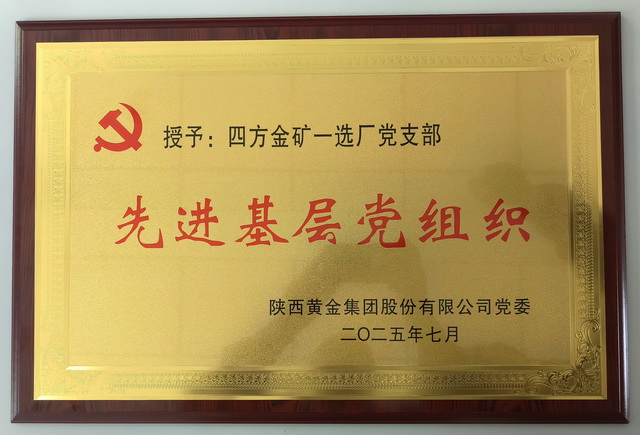 一选厂党支部在黄金集团2023-2025年度“两优一先”表彰中取得好成绩