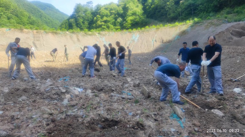 2025年3月主题党日活动：党建引领聚合力，植树添绿践初心