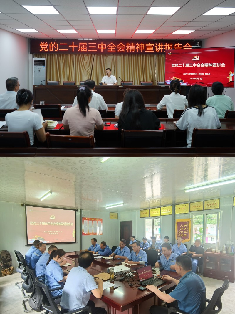 宣讲党的二十届三中全会精神