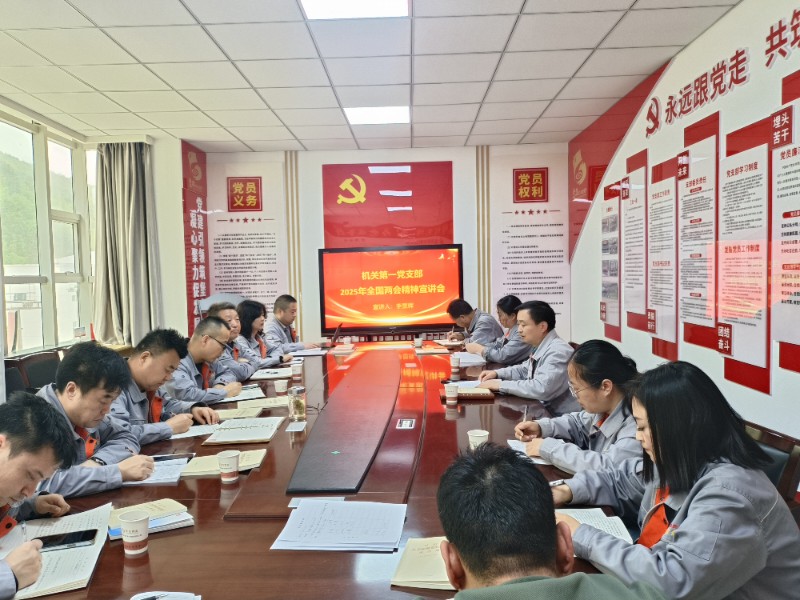 2025年全国两会精神宣讲