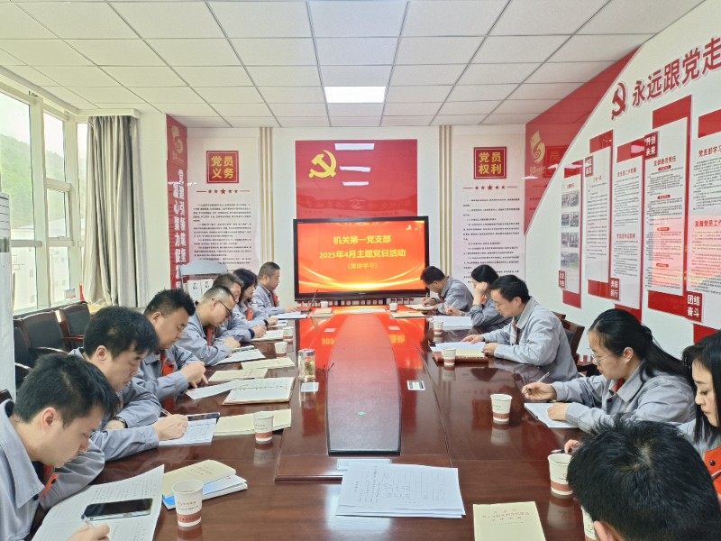 4月主题党日活动：学习贯彻总体国家安全观