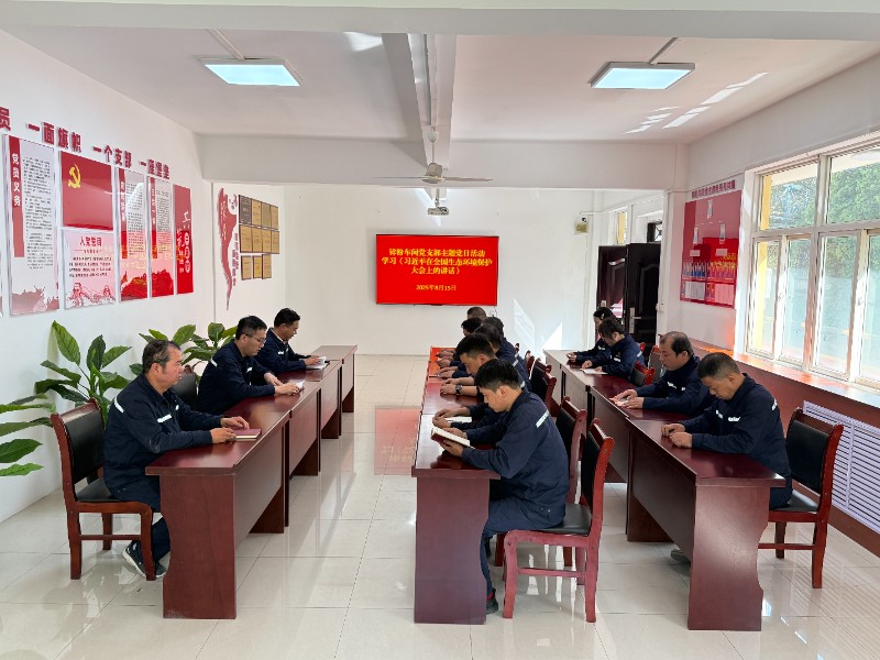 锌粉车间党支部理论学习及2025年学习安排