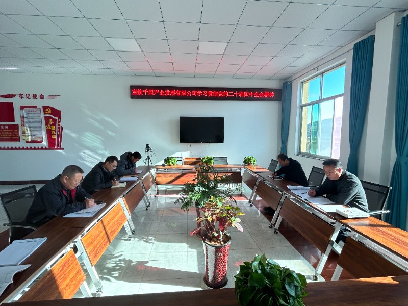 千阳产业公司深入学习党的二十届四中全会精神
