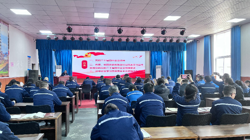 深入学习宣传贯彻党的二十届四中全会精神
