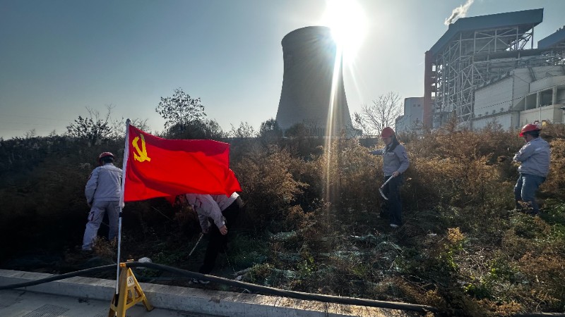 对燃运干煤棚区域荒草进行清理