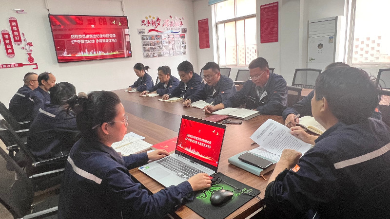 纪检委员讲廉洁纪律专题党课