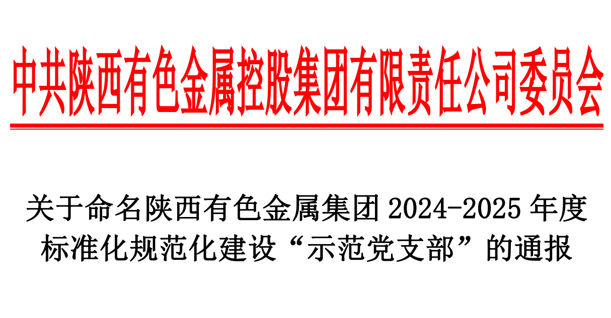 一选厂党支部喜获陕西有色金属集团 2024-2025 年度标准化规范化建设 “示范党支部”命名
