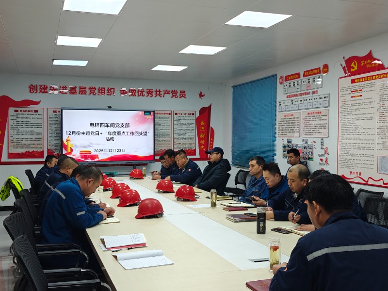 12月份主题党日+年度重点工作回头望活动