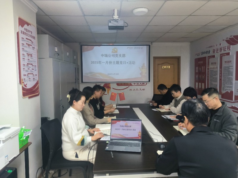 中瑞公司党支部1月份主题党日+活动