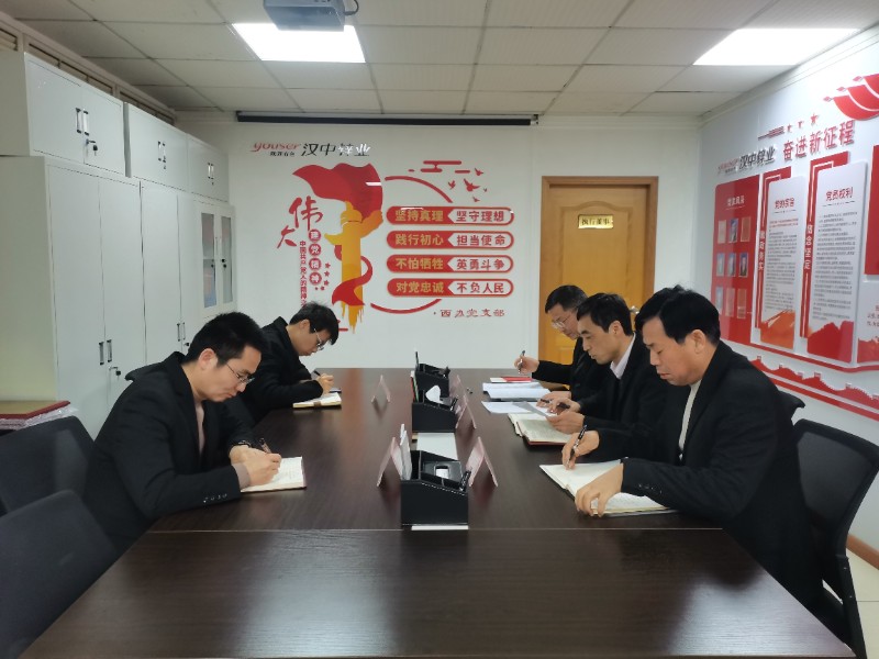 中瑞公司2024年度组织生活会和民主评议党员会议