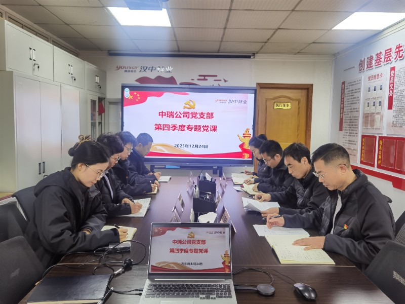 支部书记讲二十届四中全会精神专题党课