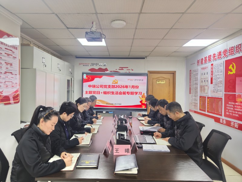 中瑞公司1月份主题党日+组织生活会前专题学习