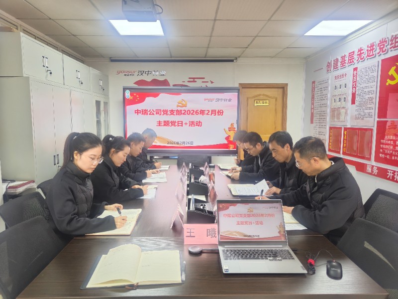 中瑞公司2月份主题党日+活动