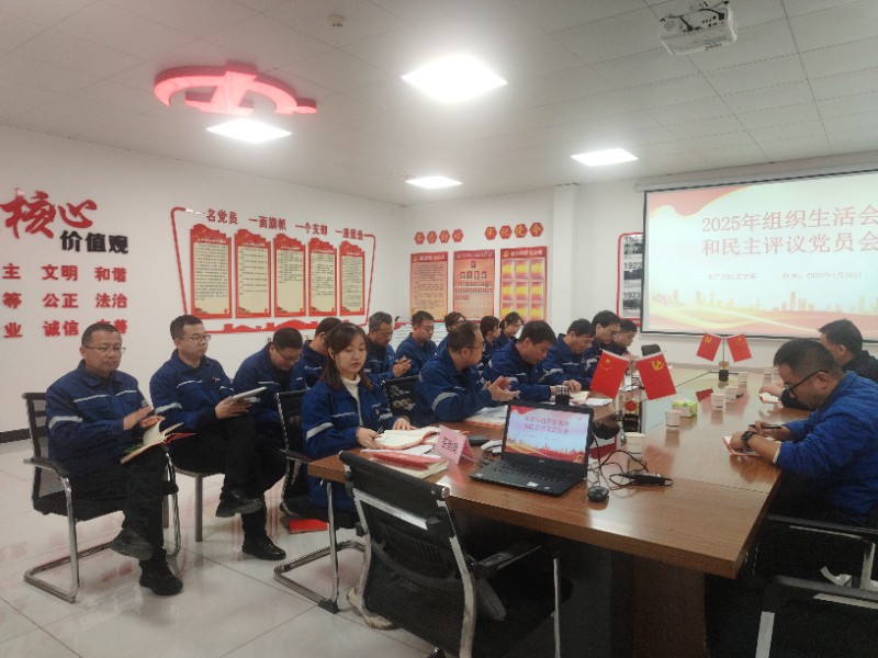 严肃召开组织生活会 坦诚进行批评与自我批评