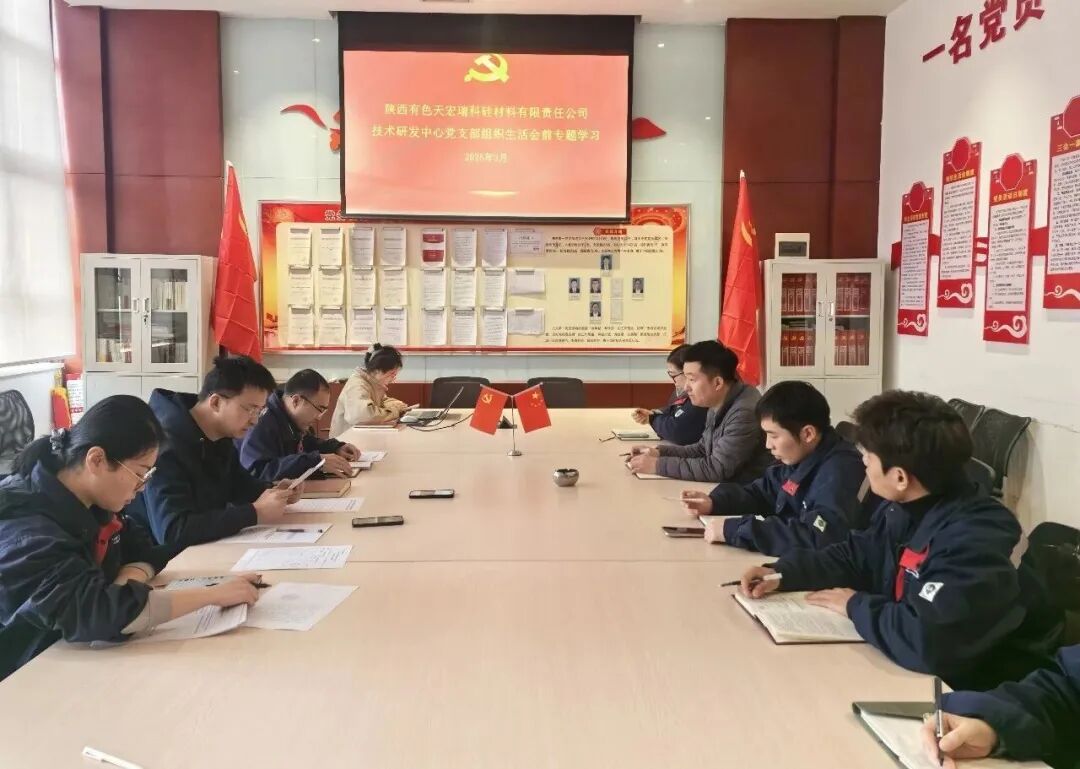 技术研发中心党支部召开2025年度组织生活会前专题学习