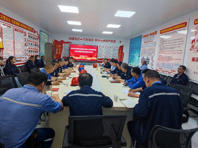支部共建搭平台  对标学习促提升