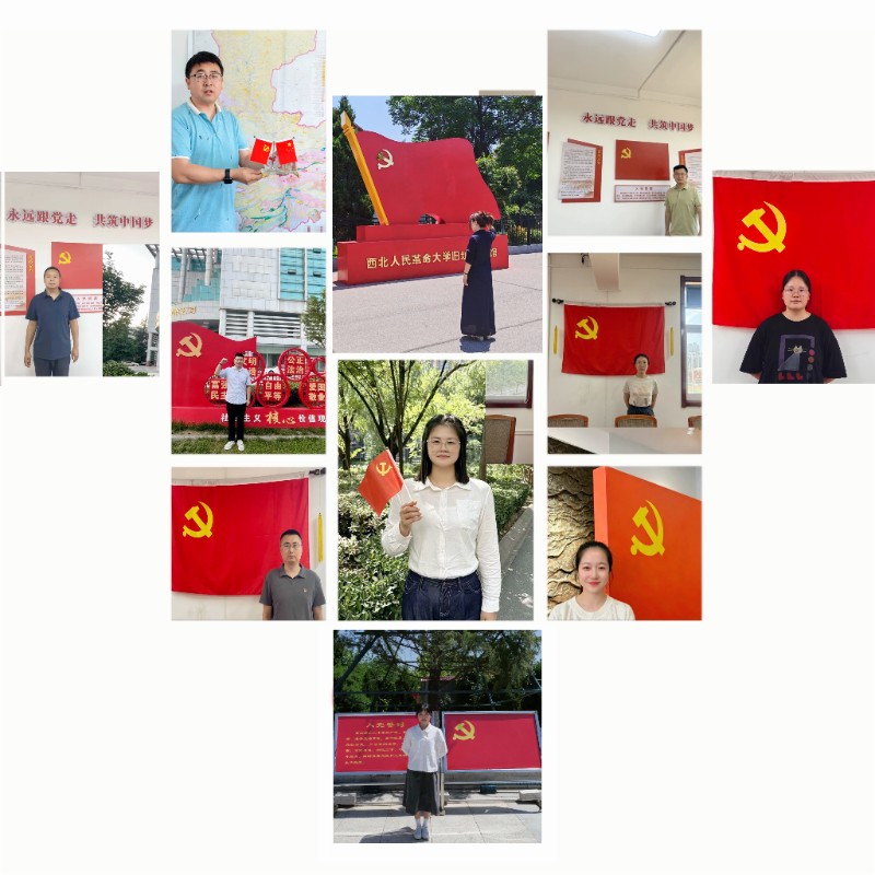 2026年6月主题党日活动